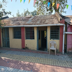 WhatsApp Image 2025-05-01 at 11.07.41 AM (1)